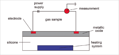 PRO 32 Articulo 1 Foto 6