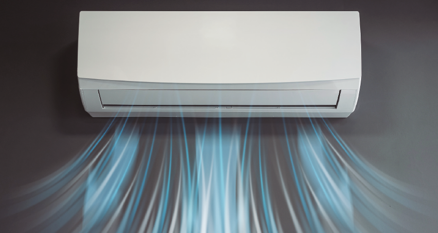 PRO22 Articulo 5 Foto 1