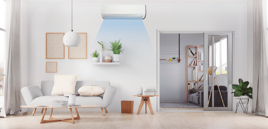 PRO22 Articulo 5 Foto 4