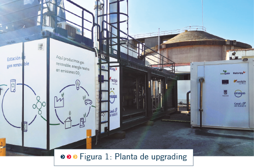 PRO22 Articulo 8 Foto 3