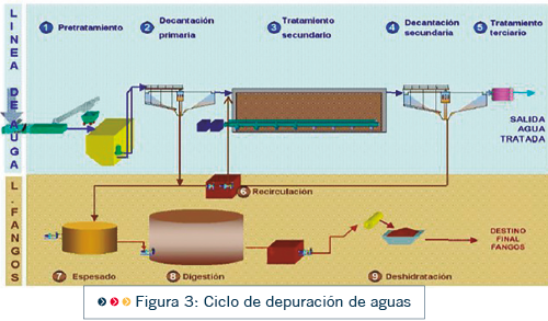 PRO22 Articulo 8 Foto 5