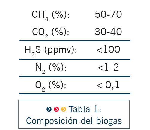 PRO22 Articulo 8 Foto 6