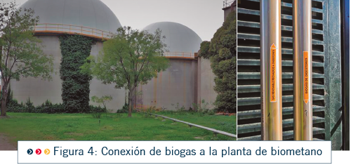 PRO22 Articulo 8 Foto 7