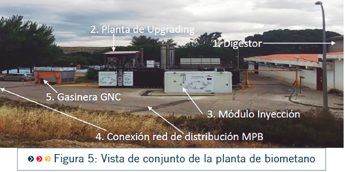 PRO22 Articulo 8 Foto 8