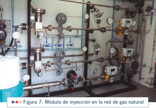 PRO22 Articulo 8 Foto 9