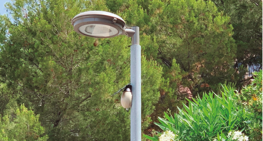 PRO23 Articulo 4 Foto 1