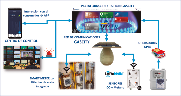 PRO23 Articulo 4 Foto 4