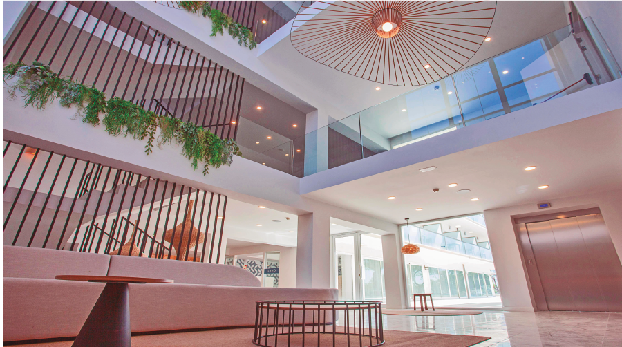 PRO24 Articulo 12 Foto 1