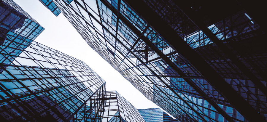 PRO24 Articulo 4 Foto 1