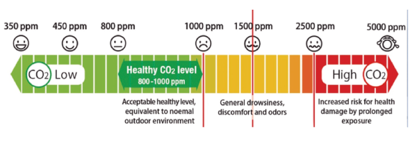 PRO24 Articulo 4 Foto 3
