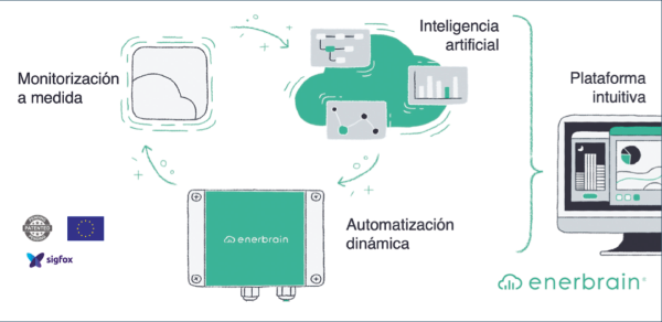 PRO24 Articulo 4 Foto 5