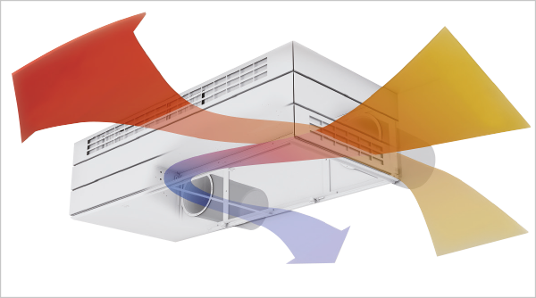 PRO24 Articulo 5 Foto 3