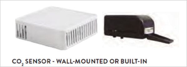 PRO24 Articulo 5 Foto 4