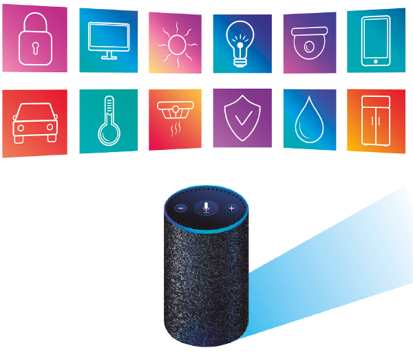 PRO24 Articulo 6 Foto 10