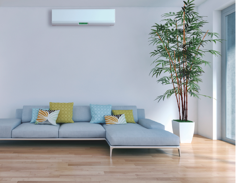 PRO25 Articulo 8 Foto 6