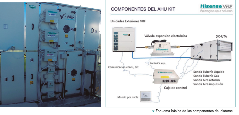 PRO26 Articulo 3 Foto 5