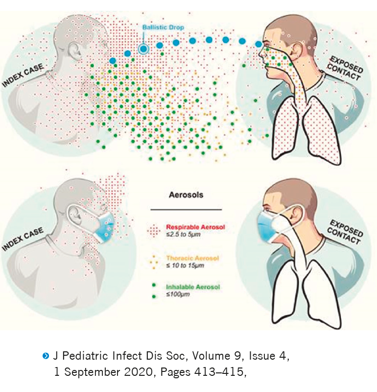 PRO26 Articulo 6 Foto 3