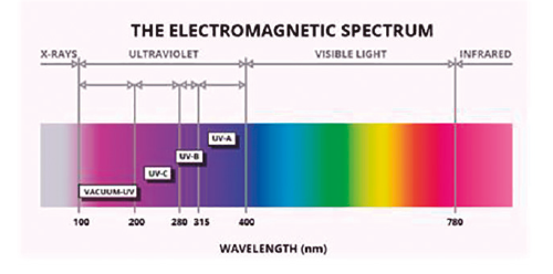 PRO26 Articulo 6 Foto 4