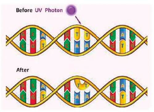 PRO26 Articulo 6 Foto 5