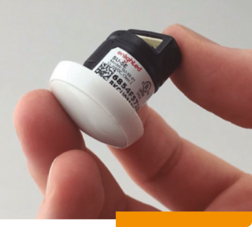 PRO28 Articulo8 foto 3