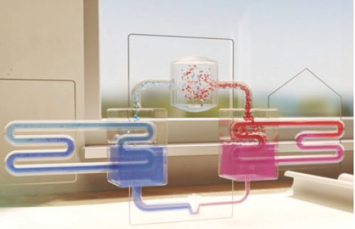 PRO28 Articulo6 Foto 3