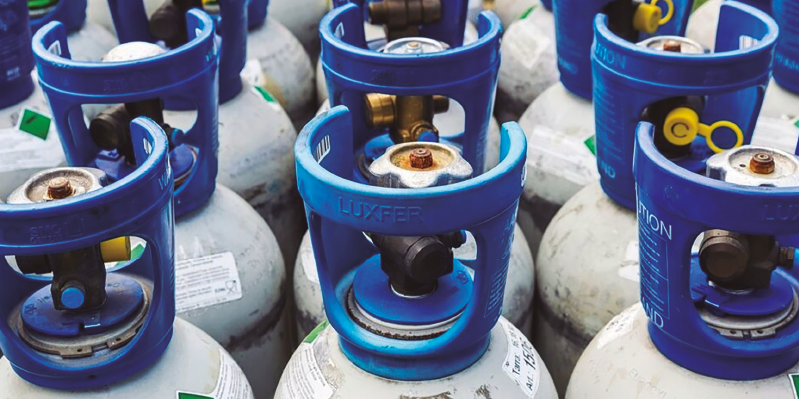 PRO29 Articulo 5 Foto 1