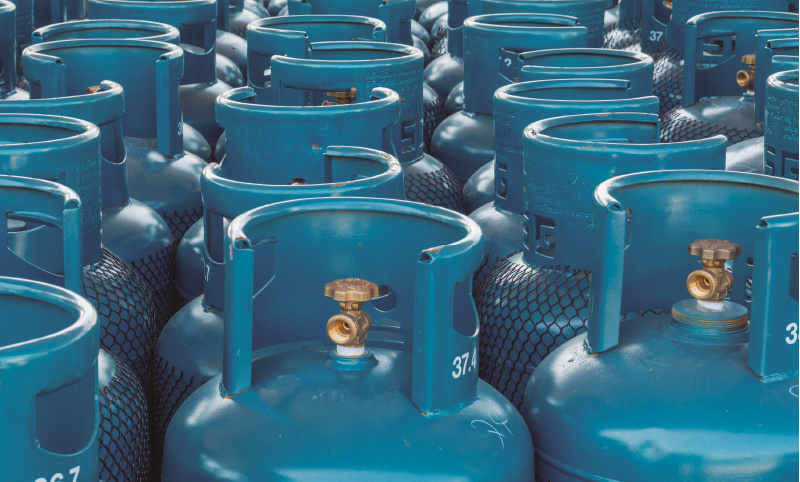 PRO29 Articulo 6 foto 1