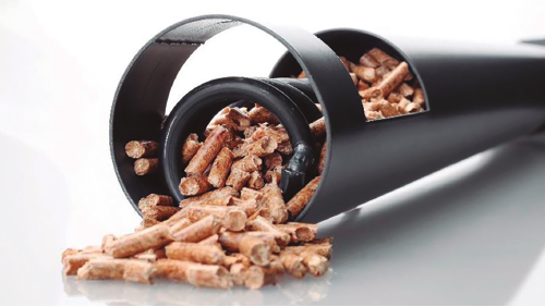 PRO29 Articulo 8 Foto 3