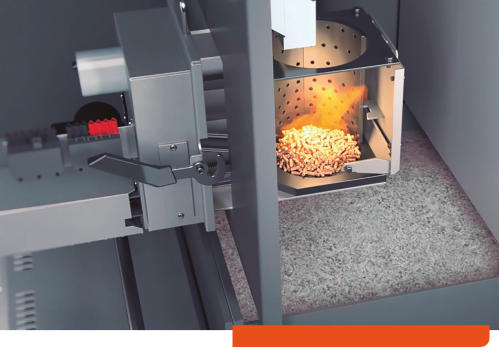 PRO29 Articulo 8 Foto 4