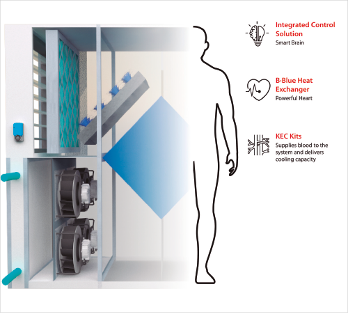 PRO30 ARTICULO 13 FOTO 3