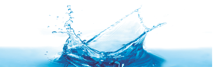 PRO30 ARTICULO 6 FOTO 4