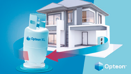 PRO31 Articulo 5 Foto 3