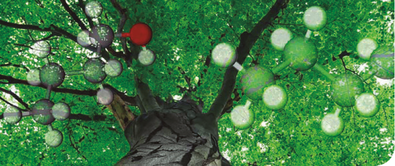 PRO31 Articulo 6 Foto 1