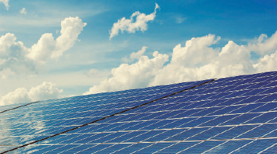 PRO31 Articulo 6 Foto 3