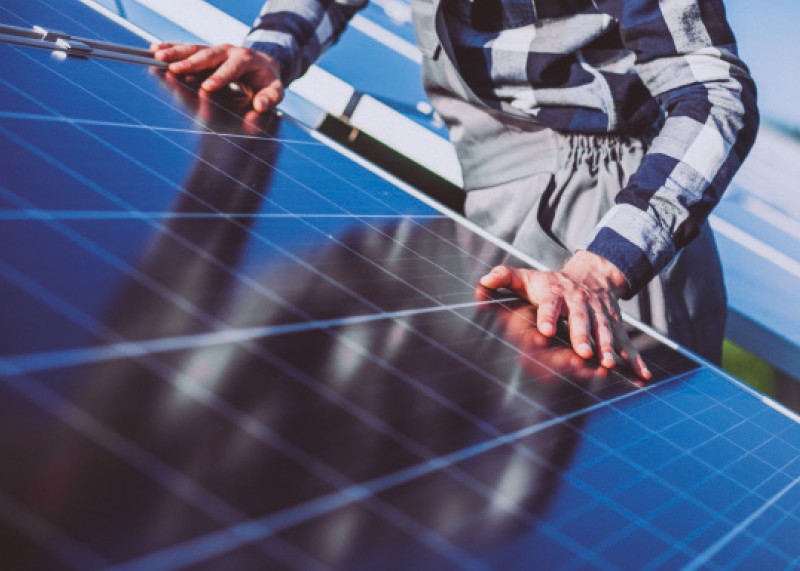 PRO31 Articulo 6 Foto 5