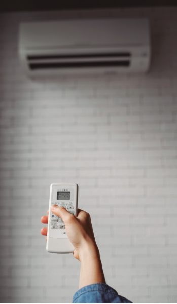 PRO33 articulo 6 foto 9