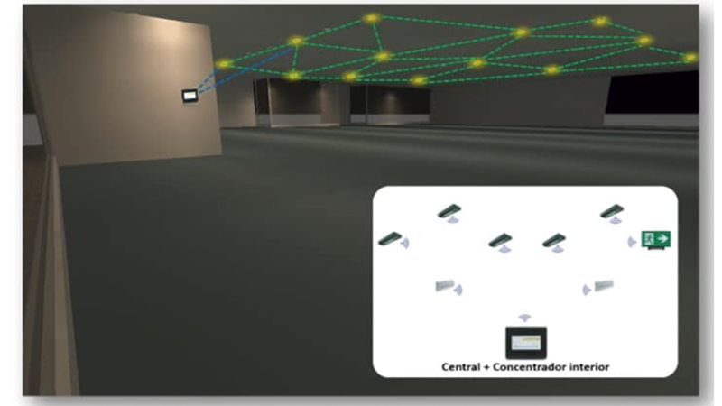 Zemper comunicacion 4