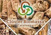 clusterbiomasa 0