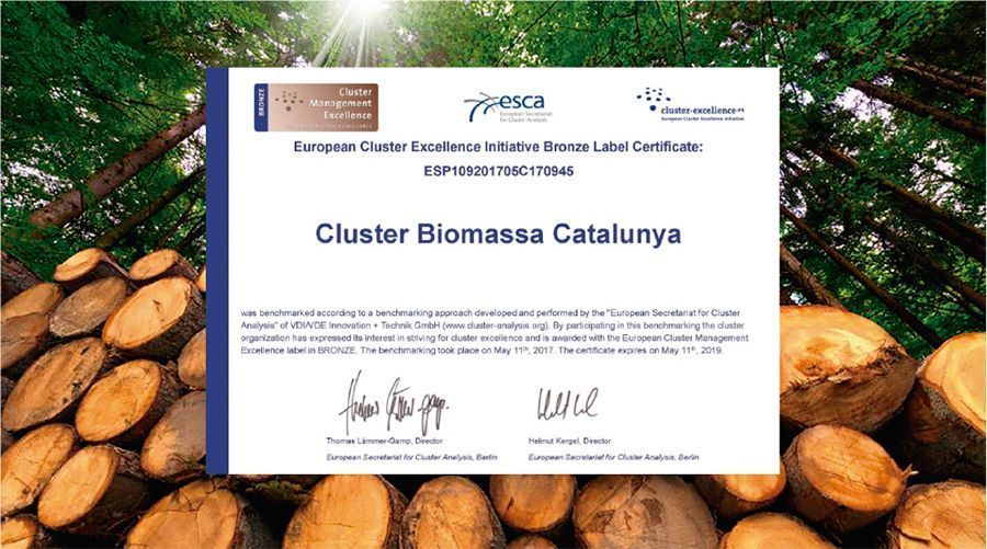 clusterbiomasa 1