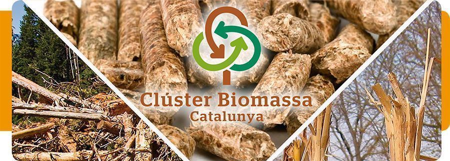 clusterbiomasa 2