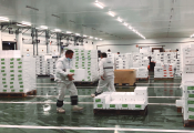 Caso de éxito para el refrigerante R-455A: la plataforma logística de Grupo Olano en España incluye 800 kg del A2L Solstice® L40X